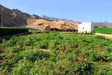 هتل Tropitel Dahab Oasis