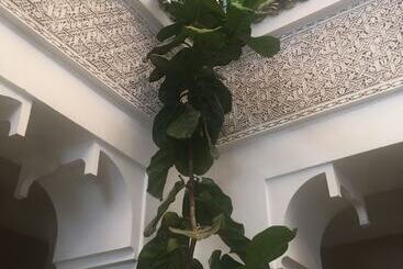 Riad Ben Tachfine