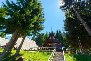 استراحتگاه Romantica Forest Guest House