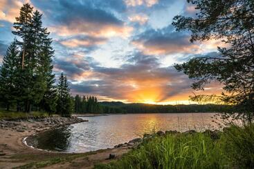 استراحتگاه Romantica Forest Guest House