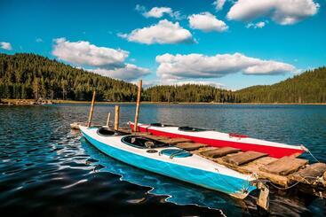 استراحتگاه Romantica Forest Guest House