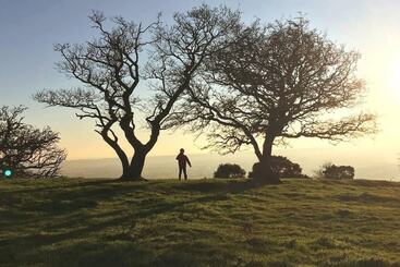 Perfect Cottage Hideaway In The Divine Pewsey Vale