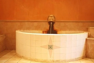 هتل Sahara Douz