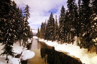 هتل Suncadia Resort