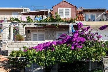 پانسیون Guest House Misita