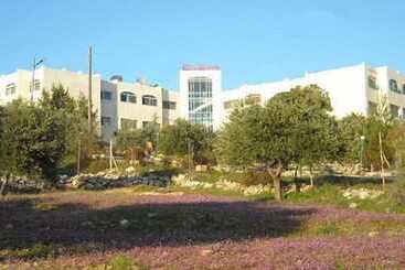 هتل The Olive Branch