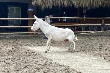 فندق Rancho Ecoturistico El Faro