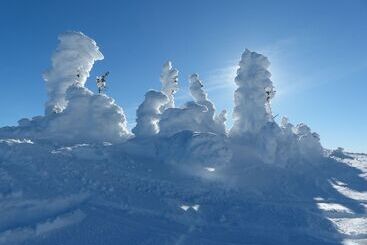 هتل Chateau Big White