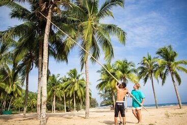 هتل Le Méridien Shimei Bay Beach Resort & Spa