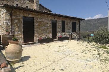 تختخواب و صبحانه Casale San Fortunato