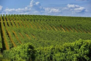 Vacancéole   Domaine De Saint Orens