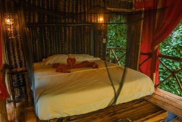 استراحتگاه Dominican Tree House Village