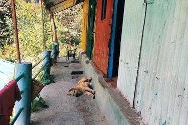 Ayoya Malana Resort Shiva Cafe