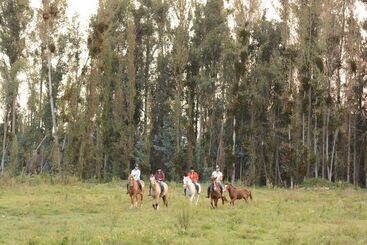 هتل Hacienda Santa Clara