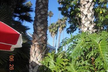 مُتل Tradewinds Airport