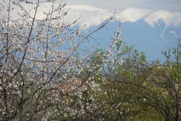 פנסיון Vila Bel Ami