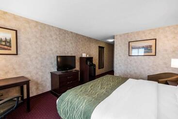 酒店 Comfort Inn & Suites