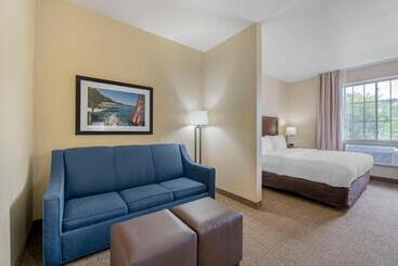 هتل Comfort Suites Lake Geneva East