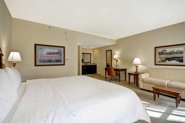 هتل Hampton Inn & Suites Savannah Historic District