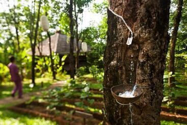 هتل Six Senses Yao Noi