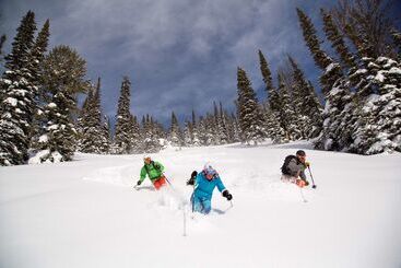 هتل Terra Jackson Hole, A Noble House Resort