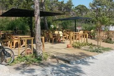 The One Club Hotel   All Inclusive