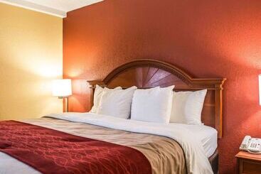 هتل Comfort Inn & Suites Panama City   St Andrew