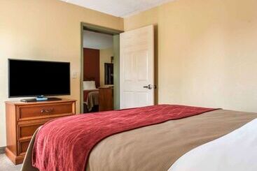 هتل Comfort Inn & Suites Panama City   St Andrew