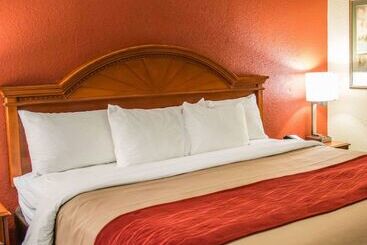 هتل Comfort Inn & Suites Panama City   St Andrew