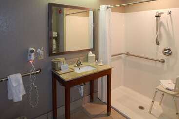 هتل Comfort Inn & Suites Las Cruces Mesilla