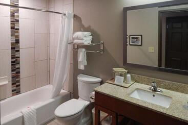 هتل Comfort Inn & Suites Las Cruces Mesilla