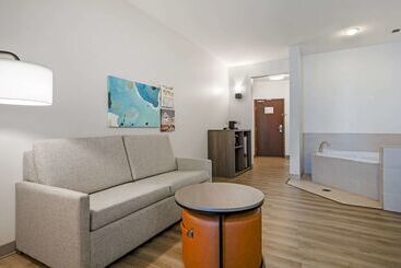 هتل Comfort Suites Conference Center Rapid City