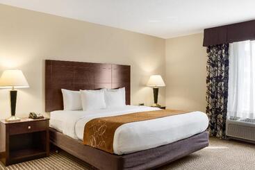 هتل Comfort Suites Conference Center Rapid City