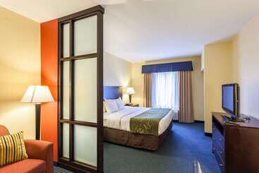 هتل Comfort Suites East Lincoln   Mall Area
