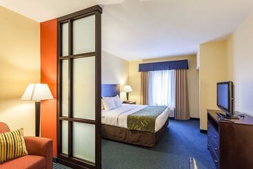 هتل Comfort Suites East Lincoln   Mall Area