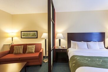 هتل Comfort Suites East Lincoln   Mall Area
