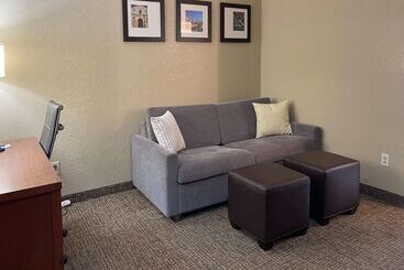 ホテル Comfort Suites Near Seaworld
