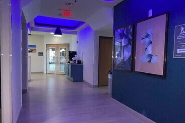 ホテル Comfort Suites Near Seaworld