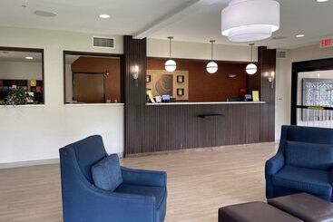 ホテル Comfort Suites Near Seaworld