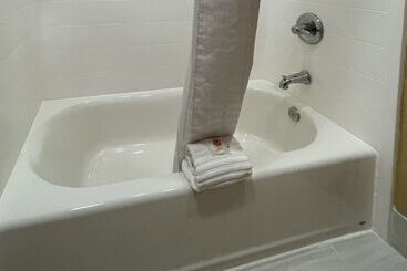 ホテル Comfort Suites Near Seaworld
