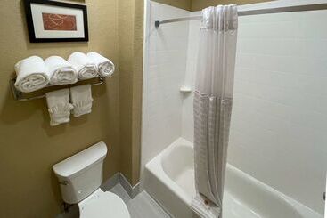 ホテル Comfort Suites Near Seaworld