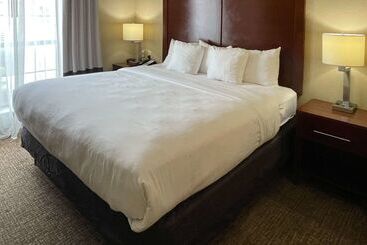 ホテル Comfort Suites Near Seaworld