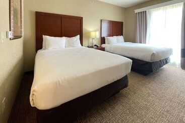 ホテル Comfort Suites Near Seaworld