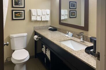 هتل Comfort Suites Peoria I 74