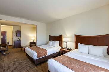 Отель Comfort Suites San Antonio North  Stone Oak
