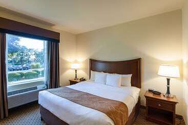 Отель Comfort Suites San Antonio North  Stone Oak