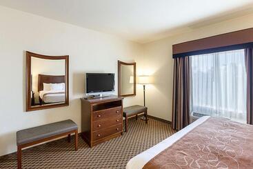 Отель Comfort Suites San Antonio North  Stone Oak