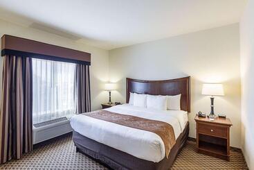 Отель Comfort Suites San Antonio North  Stone Oak