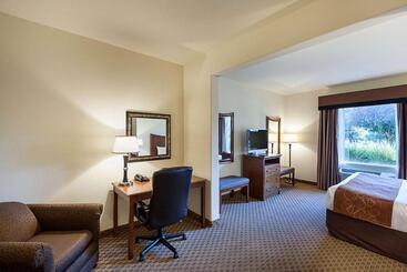 Отель Comfort Suites San Antonio North  Stone Oak