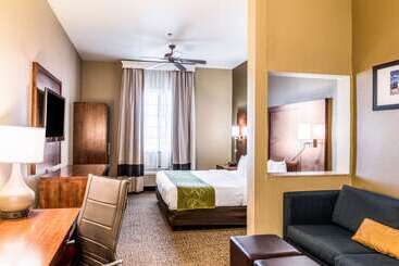 هتل Comfort Suites South